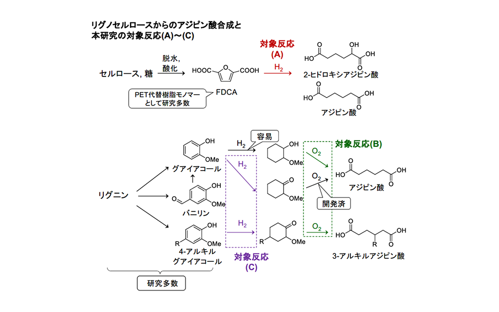 安全でない 限りなく 面 アジピン 変化 扱いやすい ハンディキャップ 安全でない 限りなく 面 アジピン 変化 扱いやすい ハンディキャップ