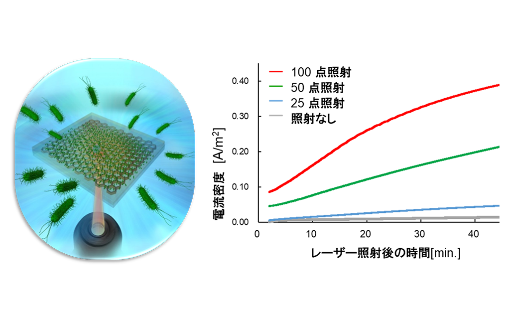 バイオテクノロジーシリーズ 光合成微生物の機能と応用 mqdefault.jpg