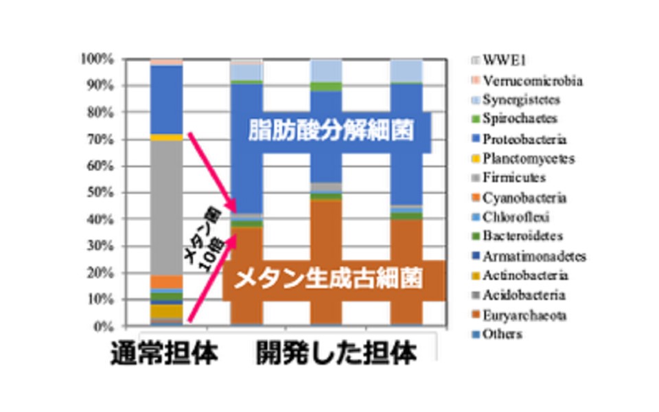 古細菌の例 メタン生成菌