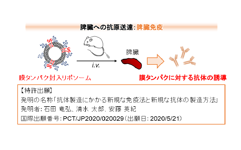 海外 正規品】 膜タンパク質工学ハンドブック ケース付き* その他