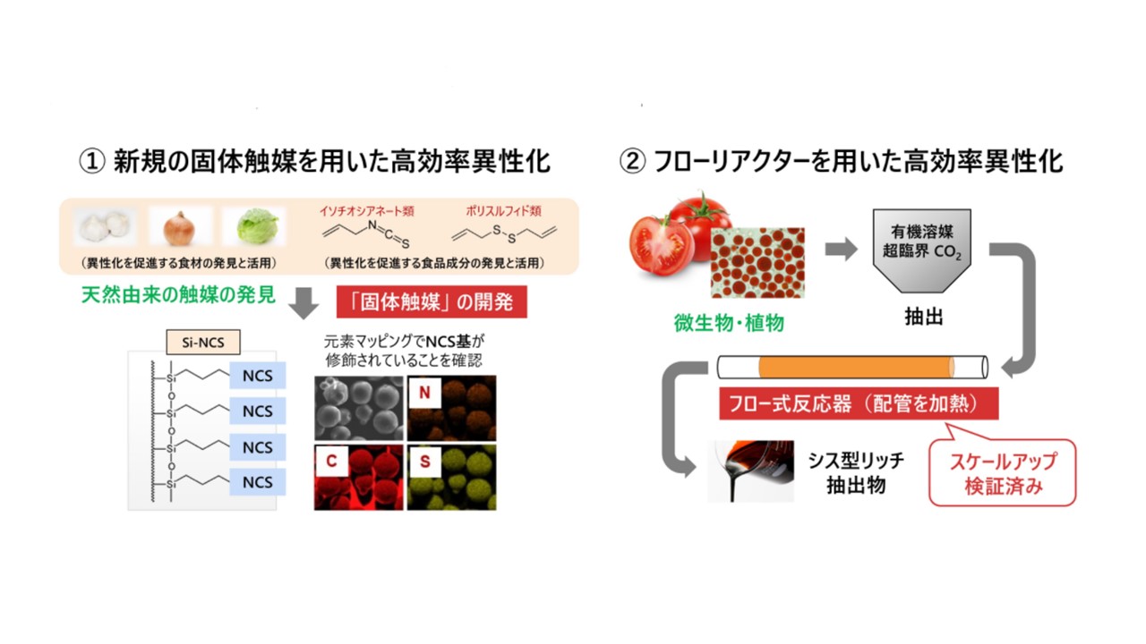 異性化技術」 を活用したバイオ関連素材の高付加価値化｜若手研究者