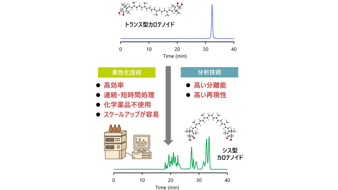 異性化技術」 を活用したバイオ関連素材の高付加価値化｜若手研究者