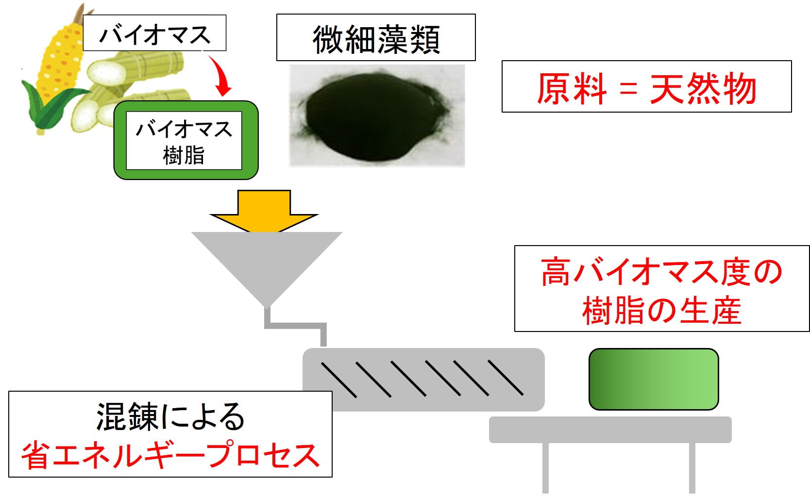 藻類を直接樹脂化する次世代バイオマス樹脂のAI材料設計と高機能化
